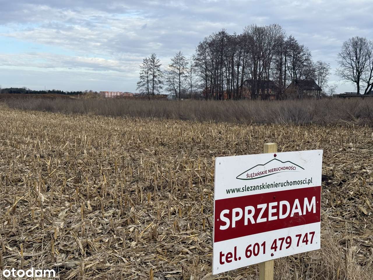 Na sprzedaż atrakcyjne działki budowlane – Nowa Wieś Kącka-6