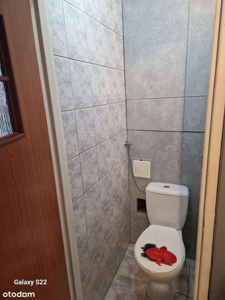 Mieszkanie 38 m**2 pokoje*parter (Kopernika)! - Pełny obrazek: 5/7