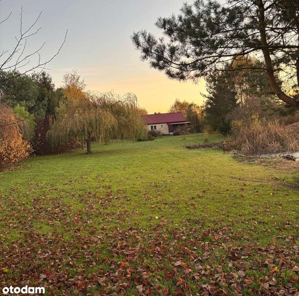 Piękne siedlisko z potencjałem w Dąbrowie 10 km od Poznania-10