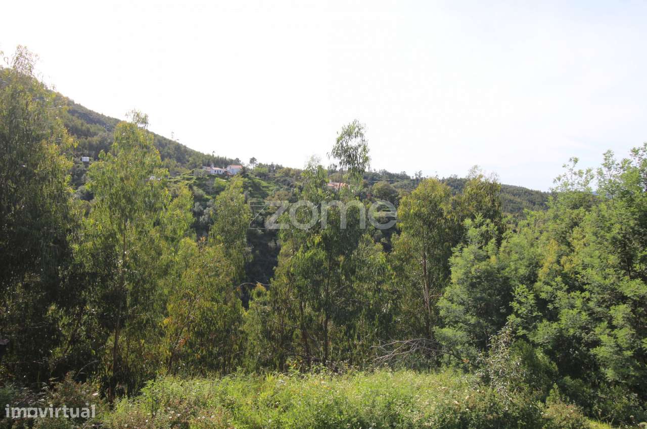 Terreno Rustico em Portalinhos - Monchique - Grande imagem: 3/23