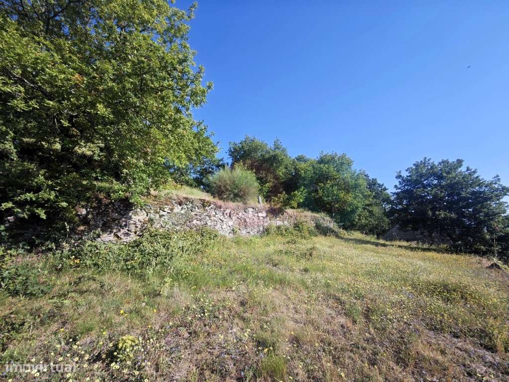 Moradia T3 com terreno em Vilar de Cunhas-36