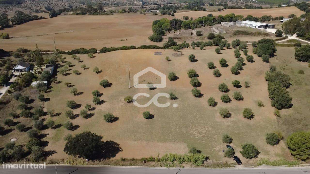 Terreno Rústico com 25.240 m² em Ferras, Gavata, Torres Novas – RAN-47