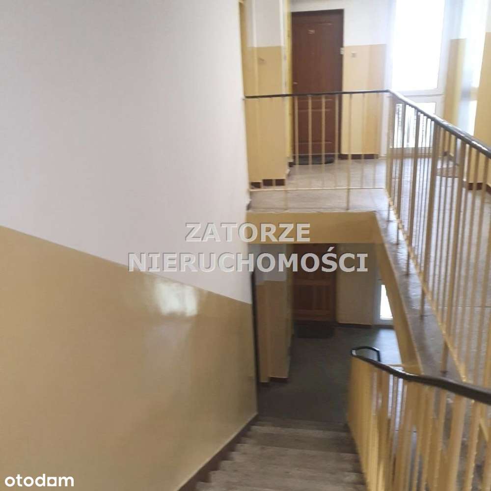 Spółdzielcze 3 pok. / 54m2 / po remoncie / przy Parku-11