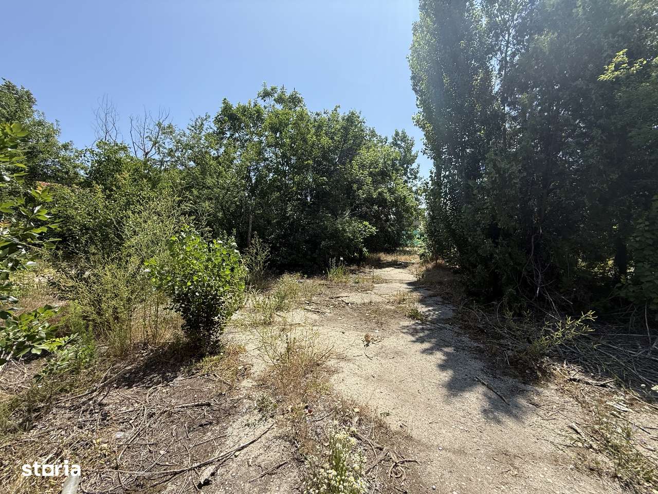 VÂNZARE Teren Case|Blocuri - 2300 mp-|Dezvoltare Bragadiru - Imagine principală: 2/9