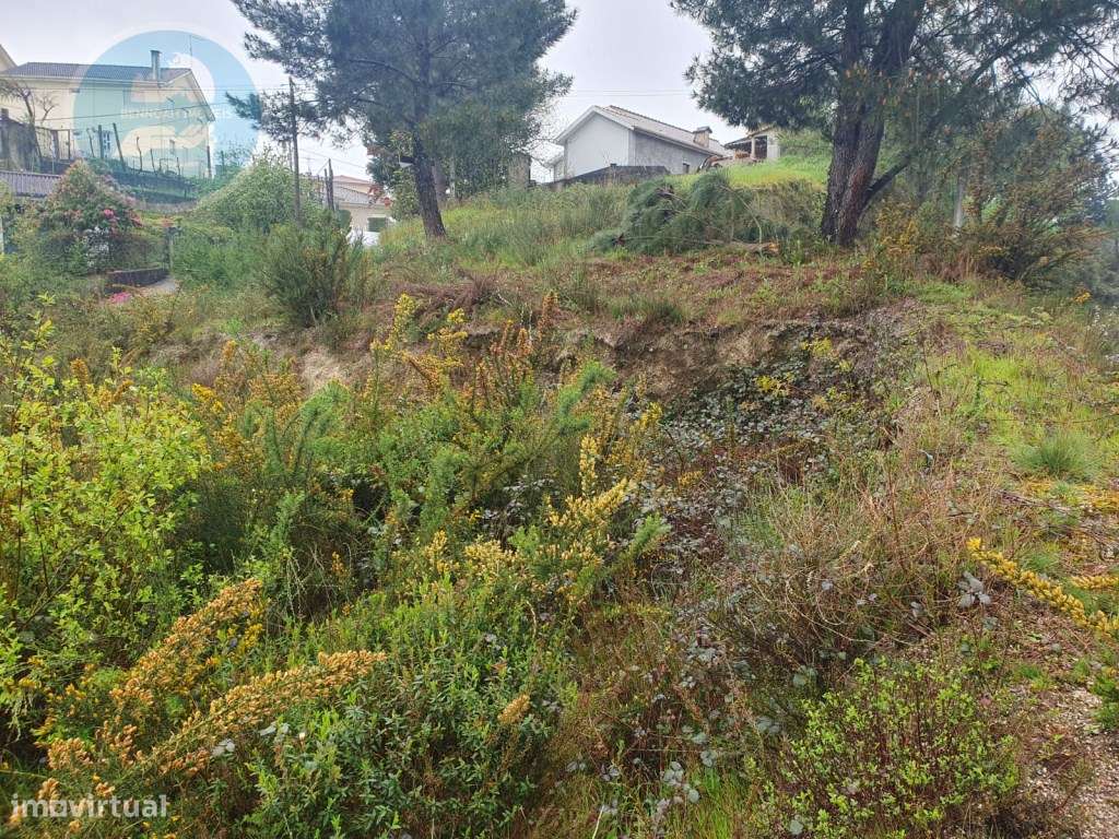 Terreno Construtivo de 1200m² 
Localização: Sra. de Fátima- Cabece...-13