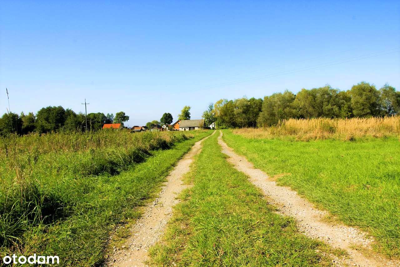 Dębina działki budowlane MPZP regularne kształty PROMOCJA CENOWA !!! - Pełny obrazek: 5/5