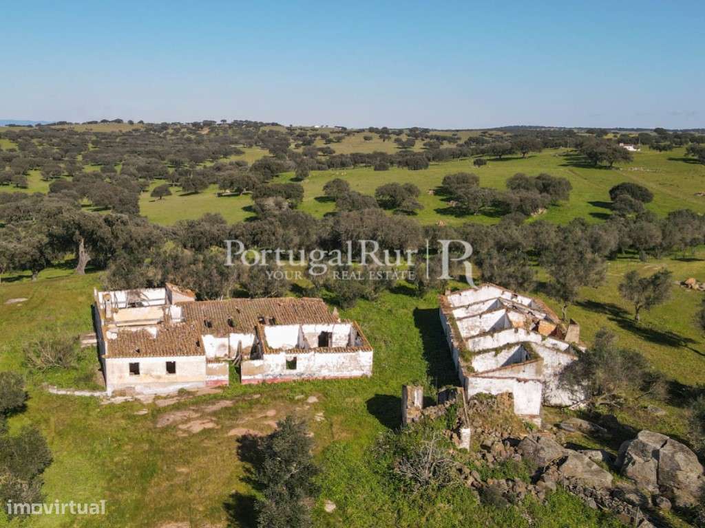 Herdade de 18 hectares perto de Estremoz - Grande imagem: 2/34