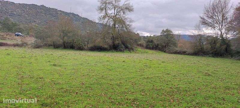 Terreno Rustico com Ruina de Casa Antiga - Grande imagem: 5/11