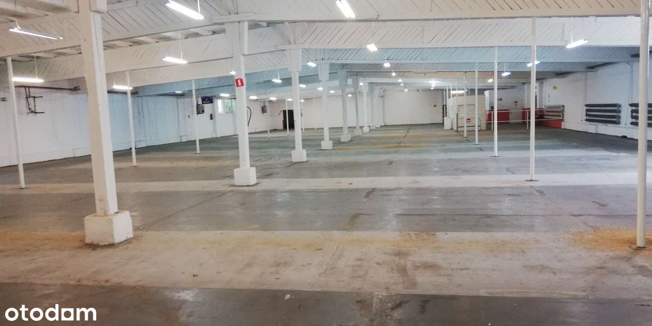 Hala na sprzedaż 3203 m² z dostępem do mediów - Pełny obrazek: 4/4