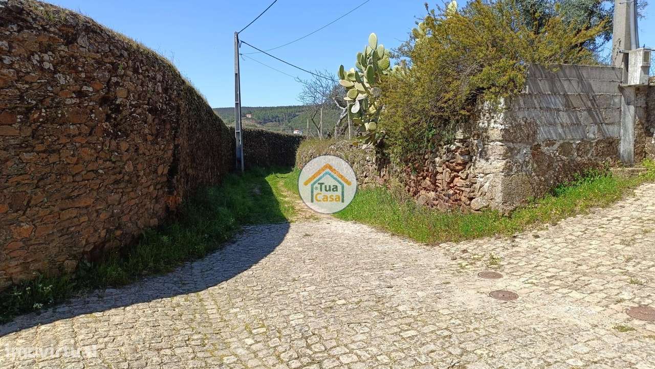 O Seu Paraíso Verde com Rendimento Extra Espera por si! - Grande imagem: 2/16