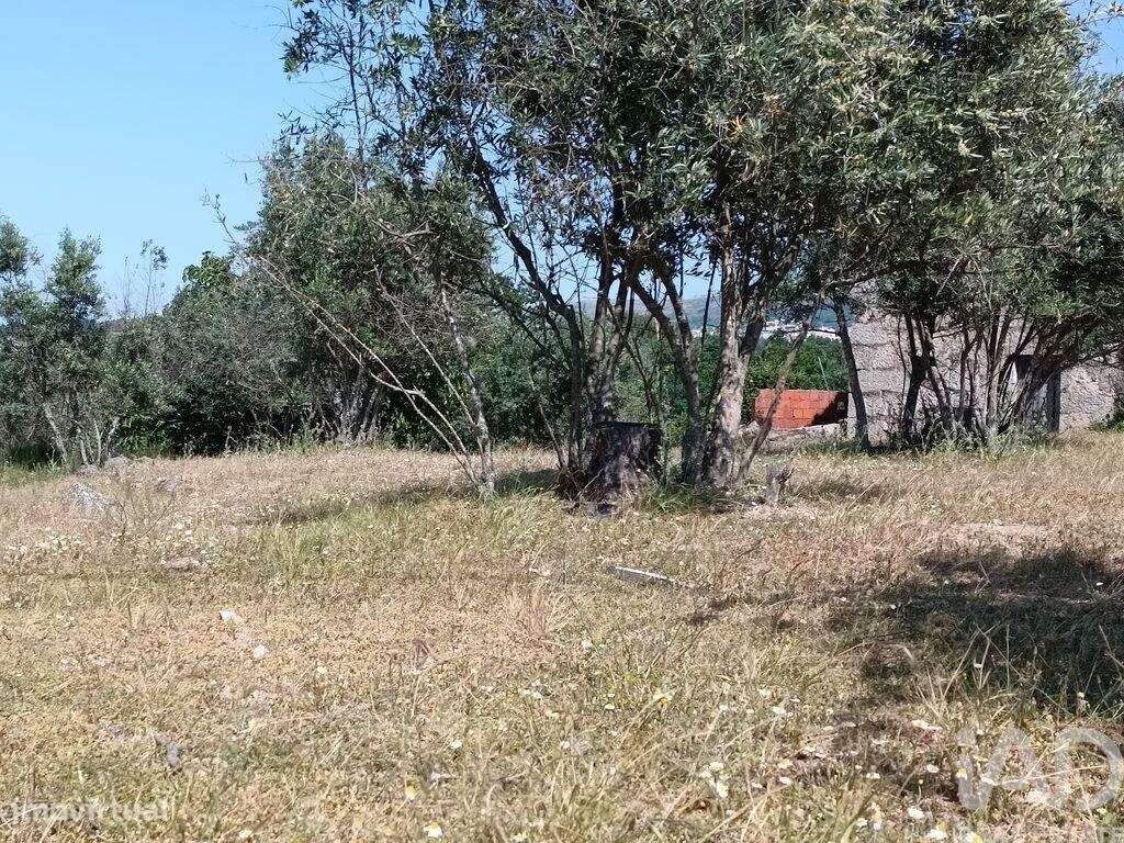 Terreno em Moimenta da Serra e Vinhó de 11200,00 m2 - Grande imagem: 4/20