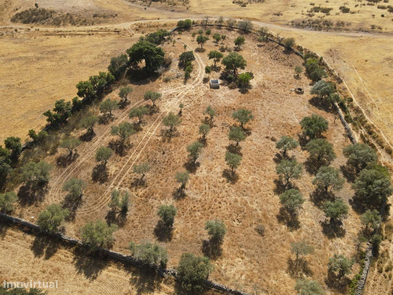 Terreno Rústico  Venda em Santa Cruz,Almodôvar - Grande imagem: 5/23