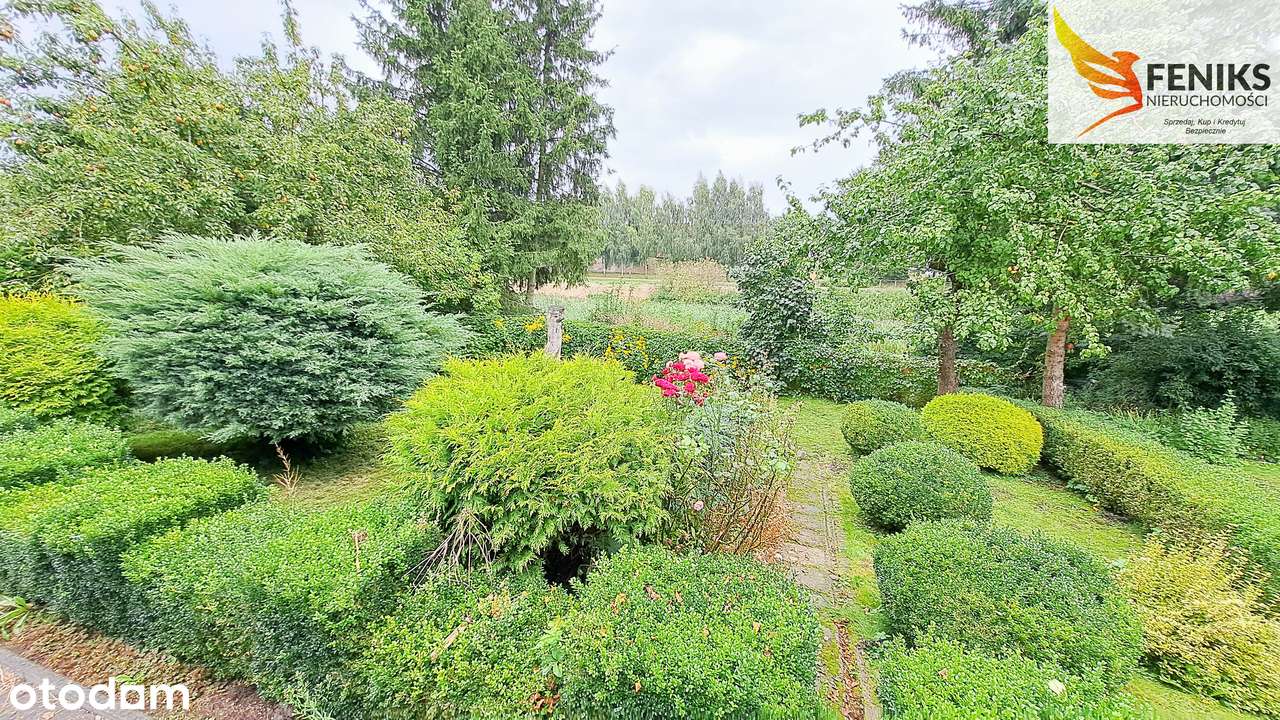 Dom w zabudowie szeregowej na wsi - Pełny obrazek: 4/19