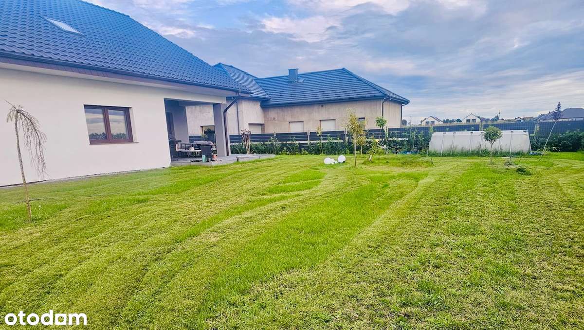 Nowy parterowy dom z lokalem użytkowym - Pełny obrazek: 3/17