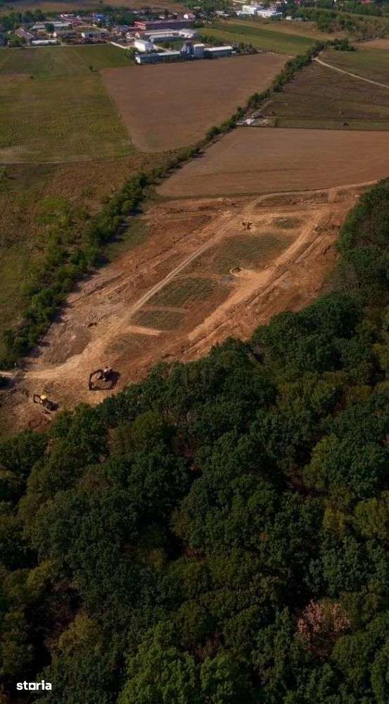 Lot de teren, padurea Snagov - Ciolpani - mega reduceri de pret!-12