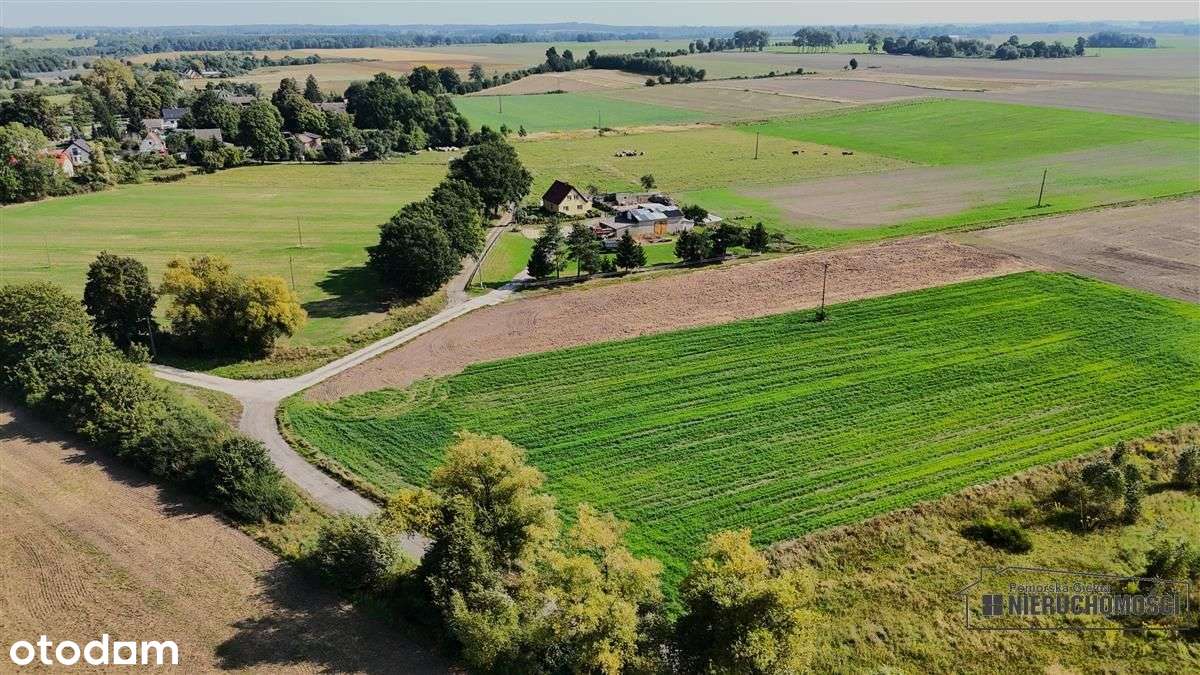 Bielikowo - działka budowlana około 20 minut od Ba-15