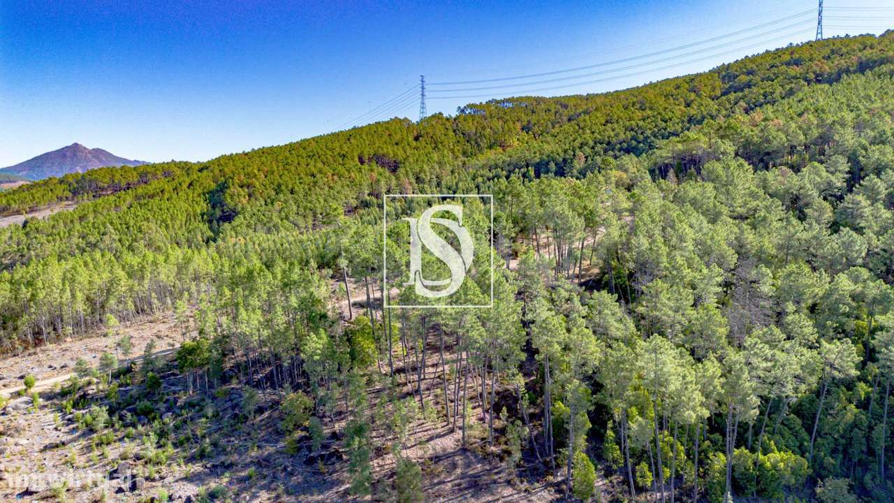 Moradia T2 Rebordelo-15