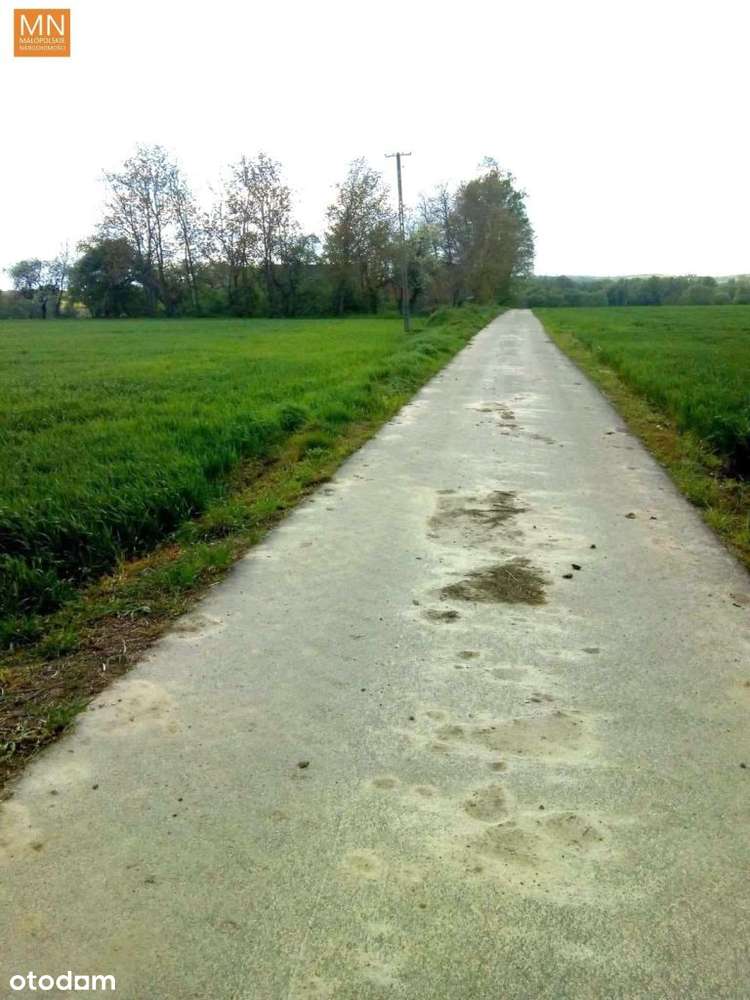 Działka pod dom,cisza i spokój,17a z Wz, Tanio - Pełny obrazek: 4/14