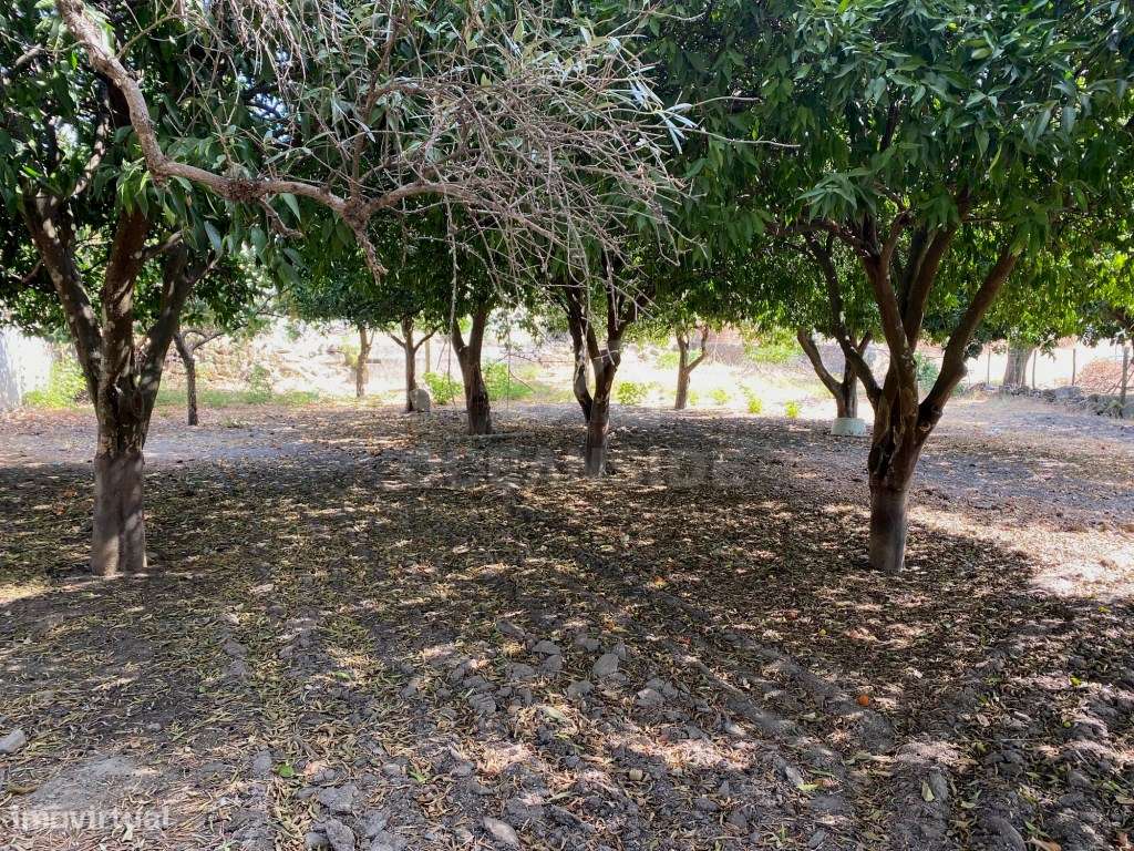 Moradia independente com 500 m2 área bruta-11