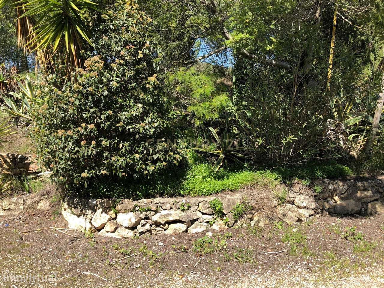 Quinta no Parque Natural da Arrabida-21