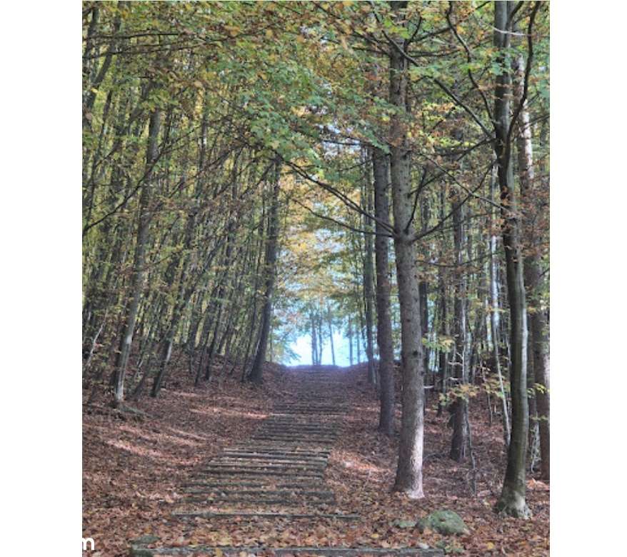 Dz. budowlana z WZ dla 2 domów jednorodz. lub budynku wielorodzinnego-16