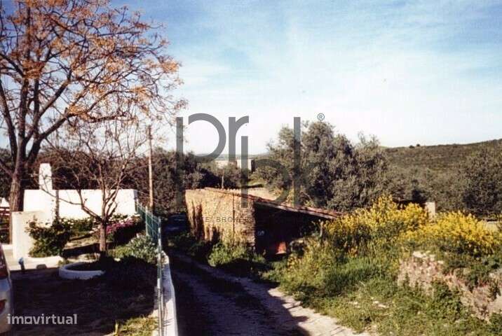 Herdade Montinho do Pascoal-11