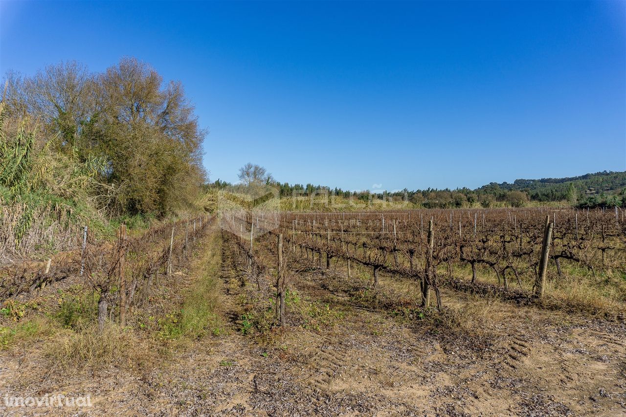 Quinta, Terreno  23.5Ha Azambuja