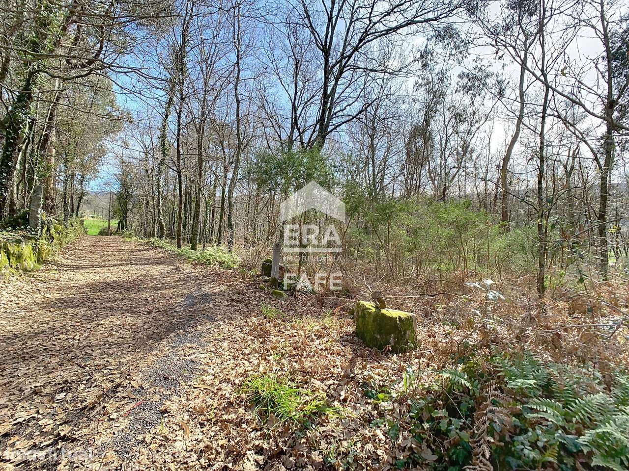 Terreno para construção em São Gens - Grande imagem: 5/11