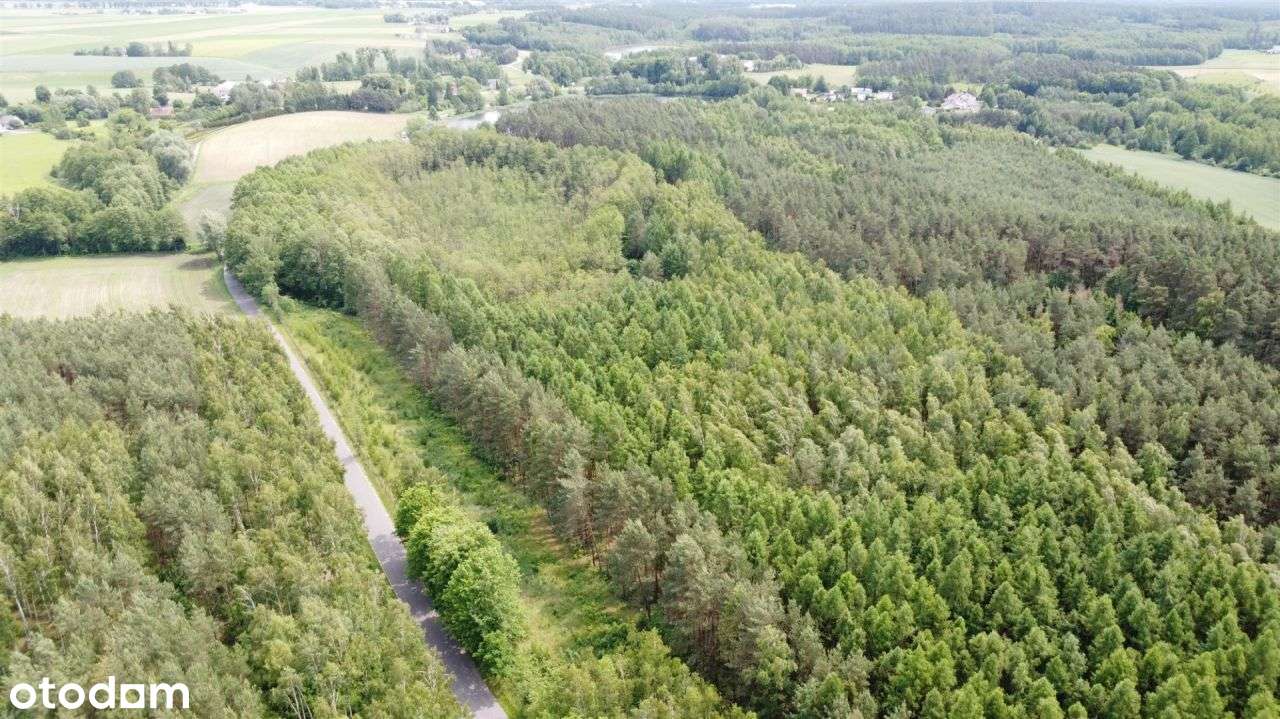 12 ha lasu z linią brzegową jeziora-1