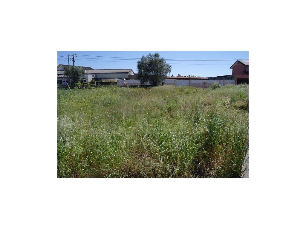 Lote de terreno -Cacia - Grande imagem: 3/4