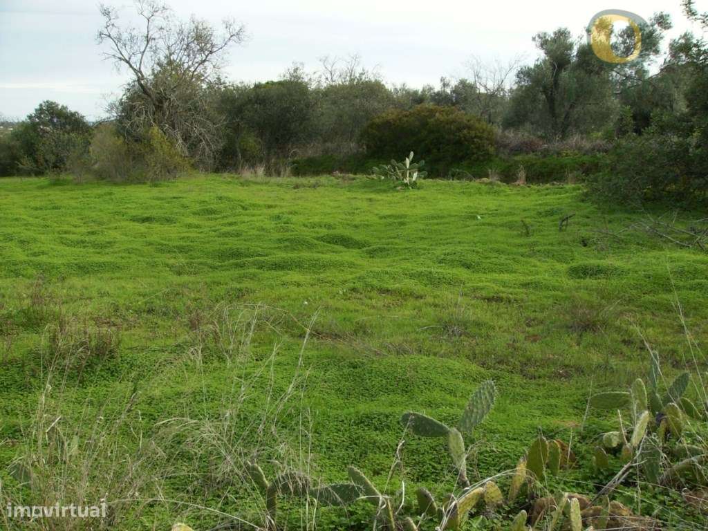 Lote de 2 terrenos com 8560 m2 - Grande imagem: 2/5