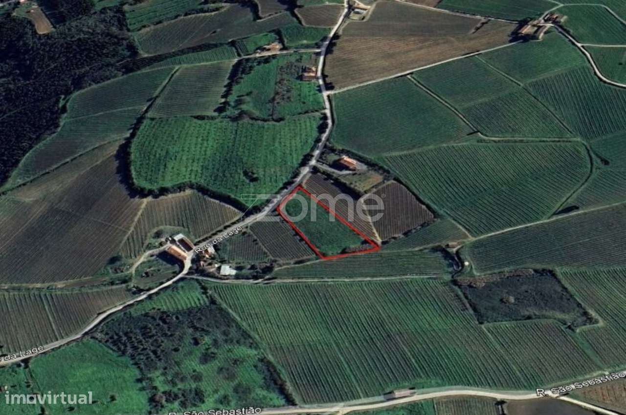 Terreno rústico em Aldeia Gavinha, Alenquer - Grande imagem: 4/11