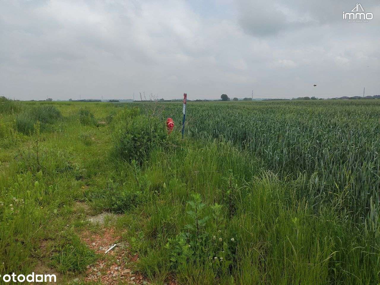 KIEŁCZÓW Atrakcyjny grunt budowlany z mediami - Pełny obrazek: 4/16