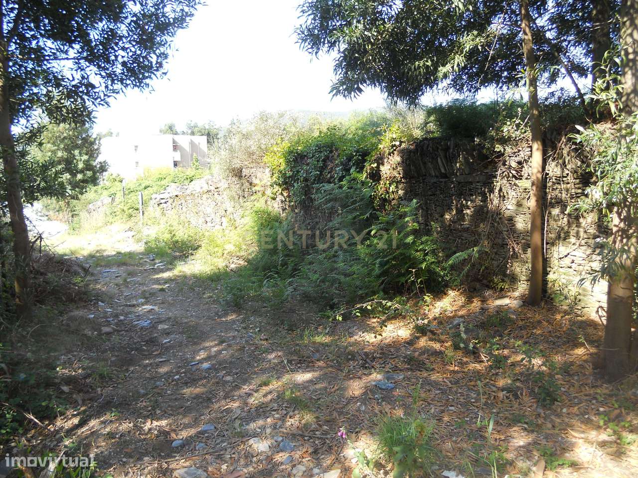 Terreno para Moradia ou Habitação Coletiva, c/ 7200 m2 em Valongo - Grande imagem: 5/8