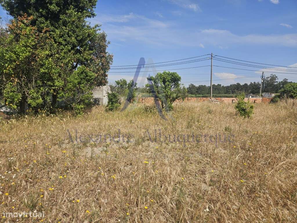 Quinta com 3 Habitações | Pinhal Novo | Terreno 5.400 m²-13