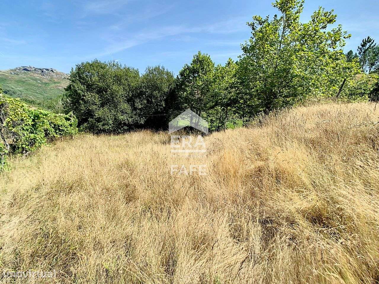 Terreno em Várzea Cova - Fafe - Grande imagem: 4/11