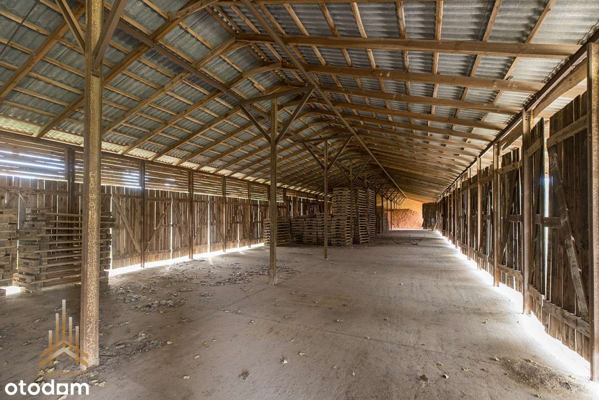 Teren inwestycyjny uzbrojony+budynki - pow. płocki-10