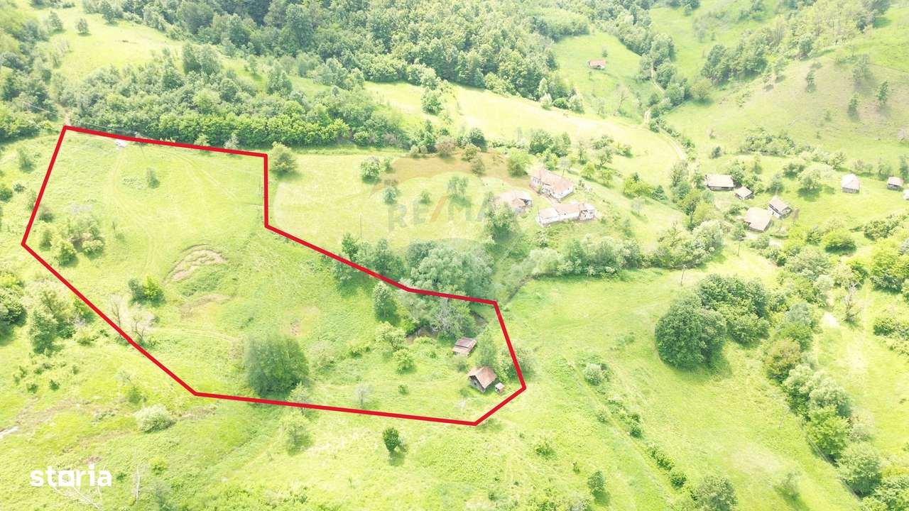 Teren intravilan de vis în Munții Apuseni, curent + izvor – 13.811 mp - Imagine principală: 4/18