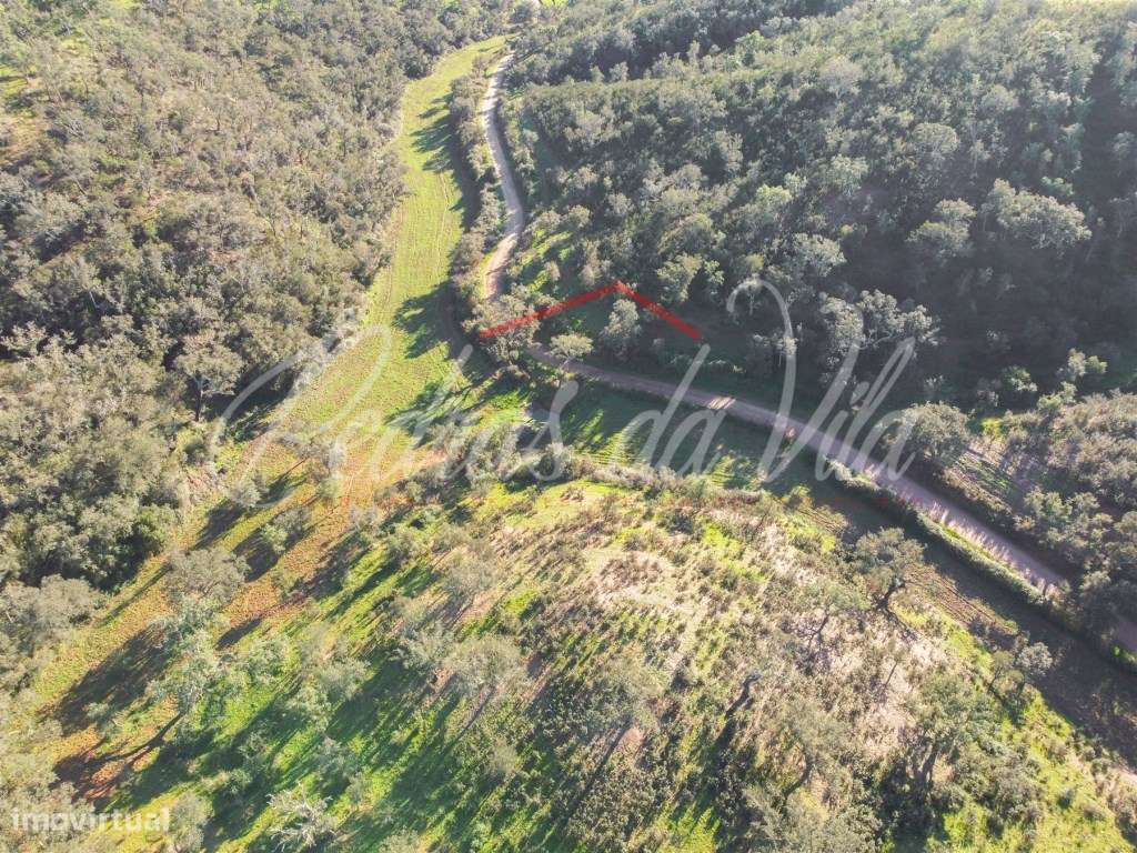 Monte Alentejano de 36ha com 3 ruinas - Pego das Pias - Odemira-16