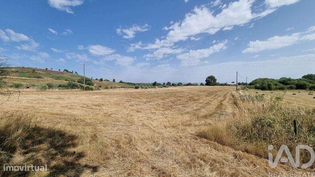 Terreno Agrícola em Prados - Grande imagem: 4/27