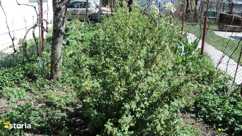 Casa ultracentral Gaesti Dambovita - Imagine principală: 5/8