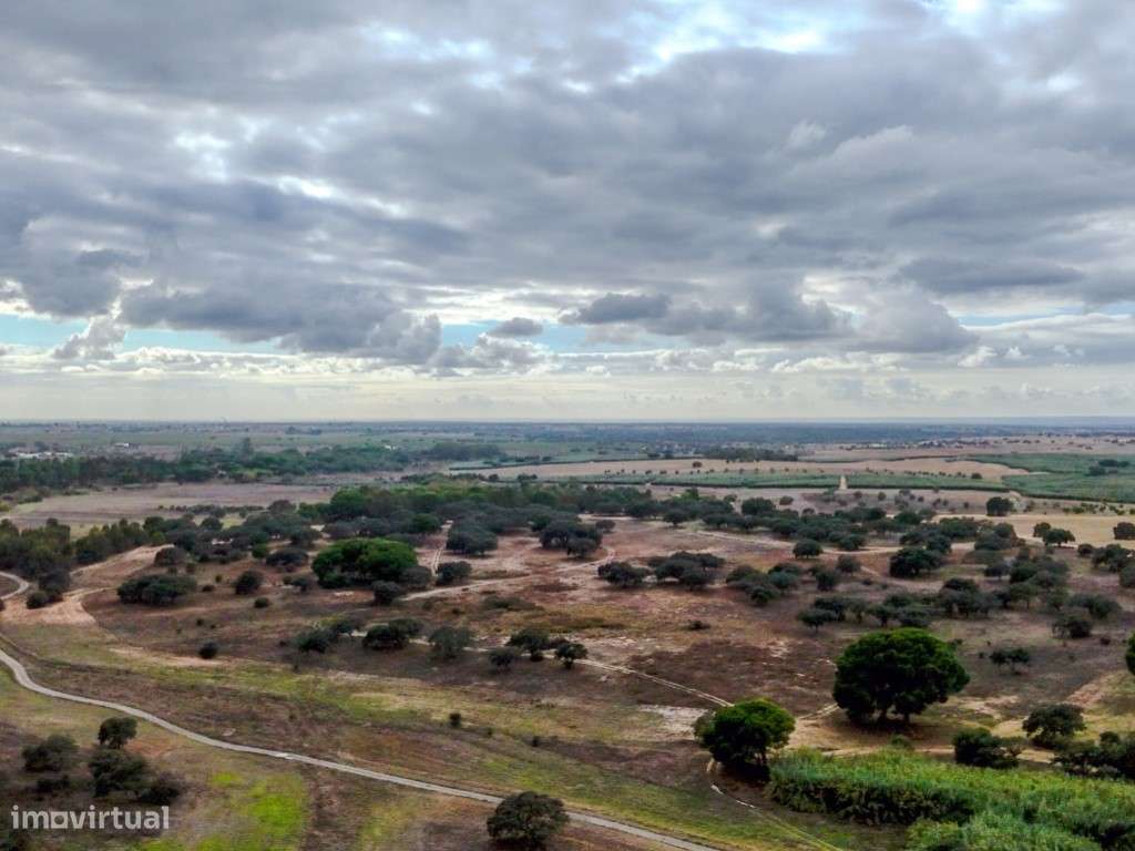 TERRENO DE 22,45 HA COM RUÍNA DE 240 M² PARA RECUPERAÇÃO EM FERREIR...-12