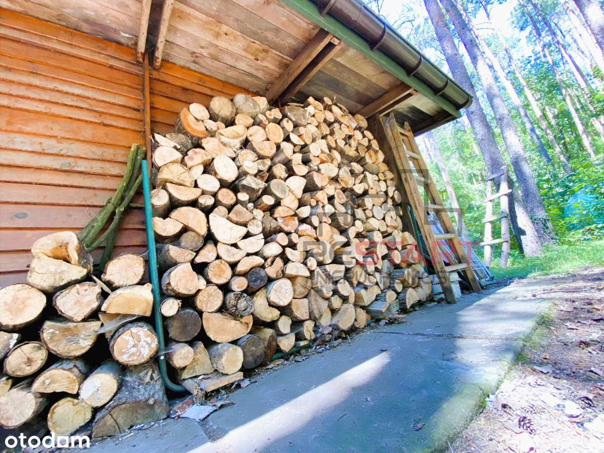 Dom wśród drzew –azyl spokoju 20 minut od Warszawy - Pełny obrazek: 5/13