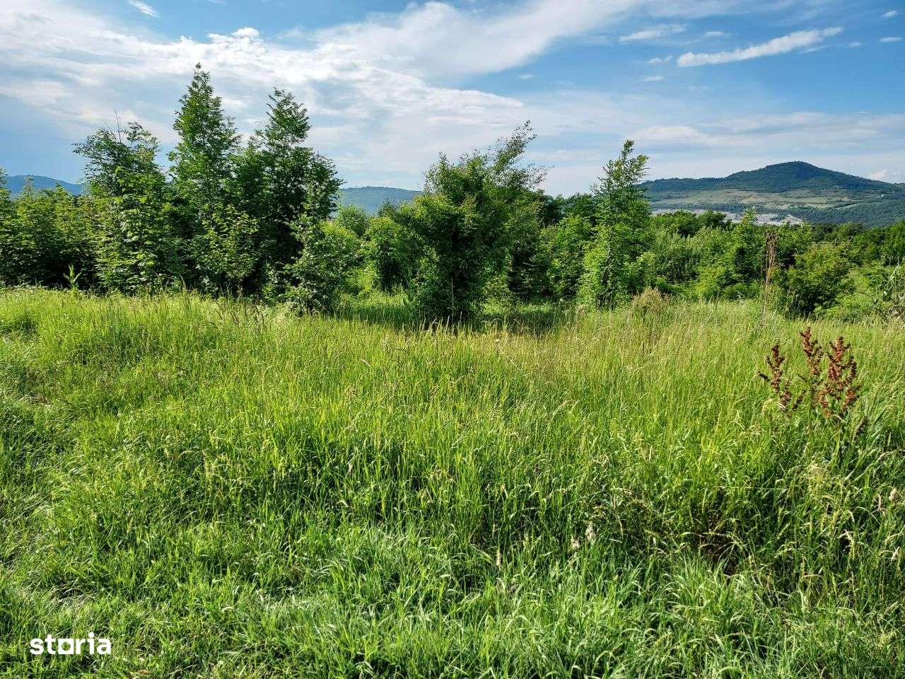 Teren extravilan intrare Mintia, Com Vetel, jud HD - Imagine principală: 4/8