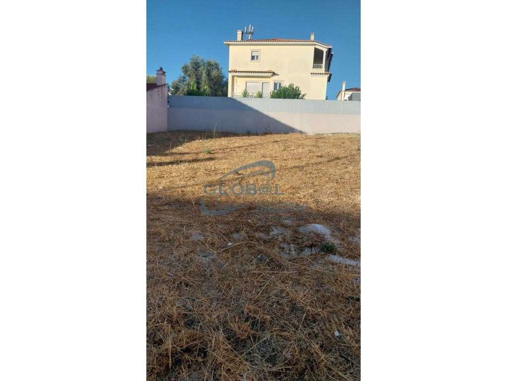 Terreno Venda Torres Novas - Grande imagem: 5/8