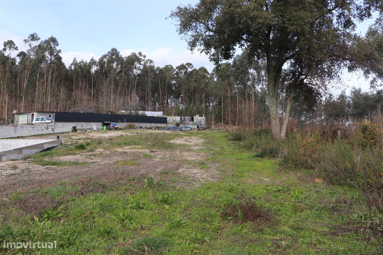 Lote de Terreno  Venda em Lustosa e Barrosas (Santo Estêvão),Lousada - Grande imagem: 4/14