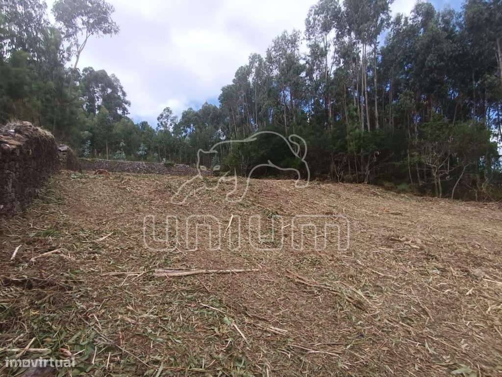 Terreno Urbano com projeto aprovado em Vilarelho-7