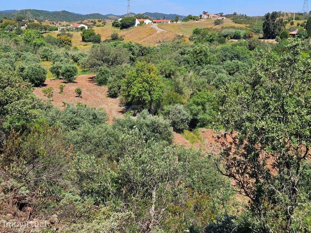 Terreno Rústico em São Bartolomeu de Messines - Grande imagem: 3/23