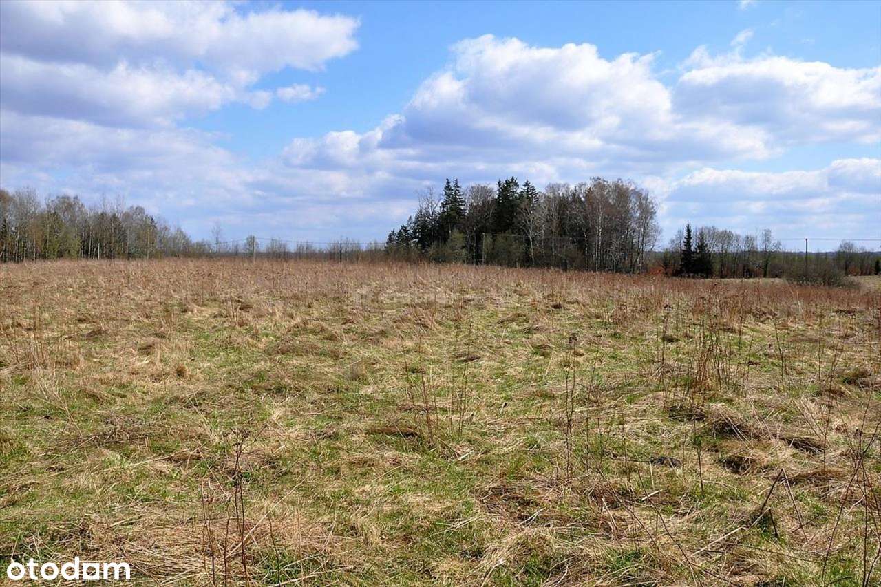 Działka Łomy, Gmina Jonkowo z warunkami zabudowy - Pełny obrazek: 5/10