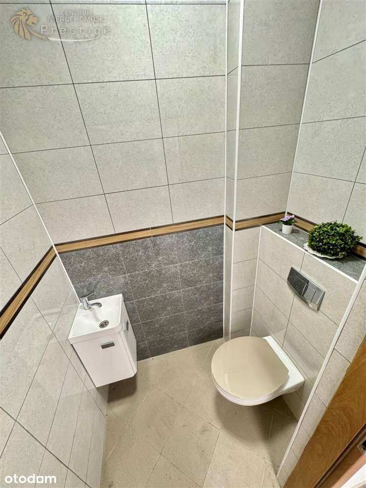 Bytom lokal do wynajęcia 9 gabinetów + - Pełny obrazek: 4/18